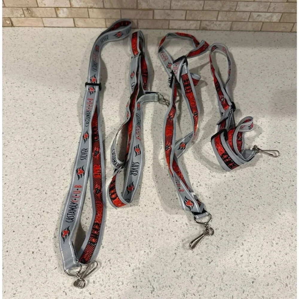 Disney Cruise Line Castaway‎ Club Silver Member Lanyard bundle